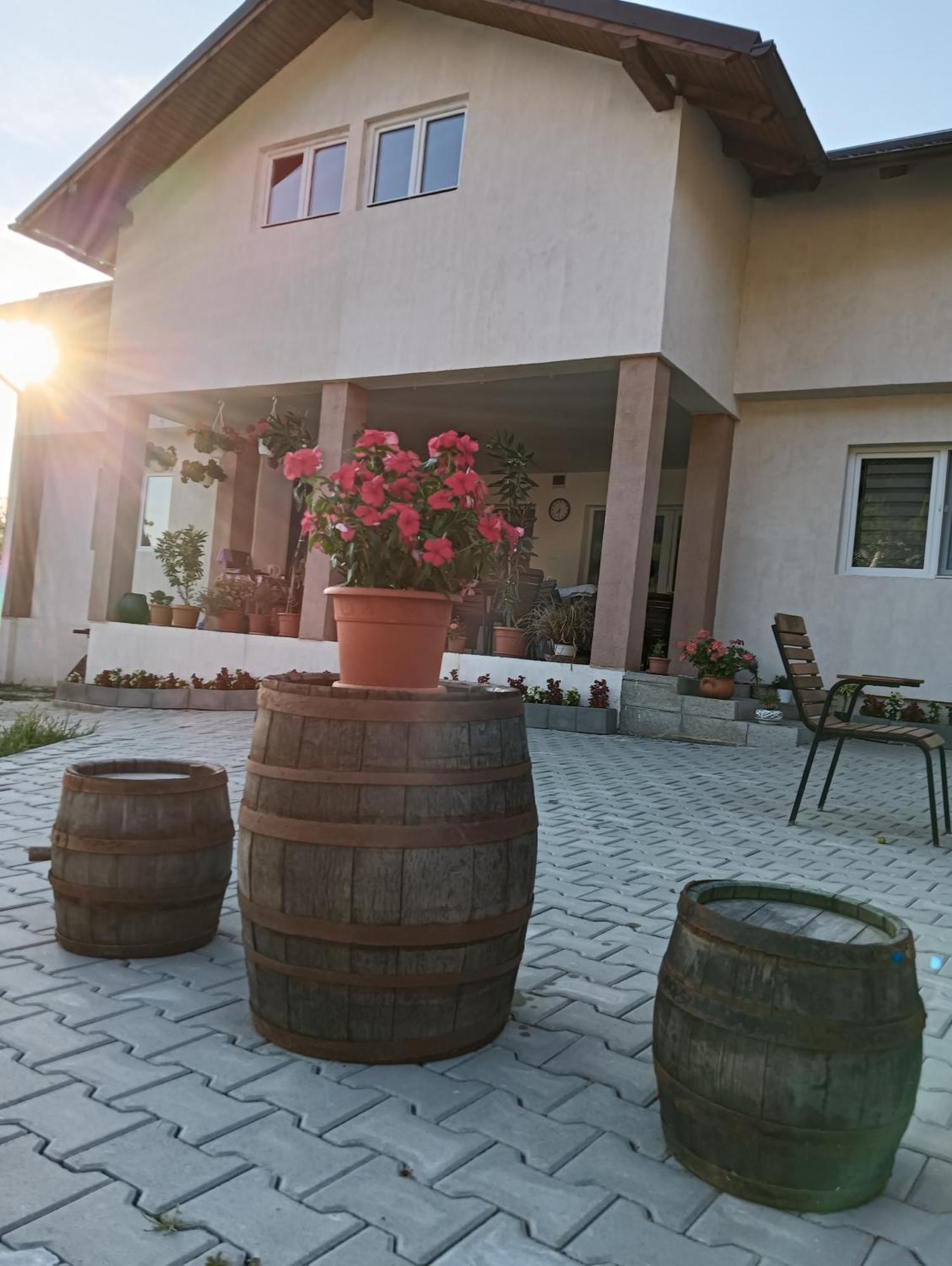 Отель Casa Maksai Совата Экстерьер фото